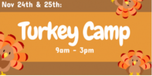 Legacy Gymnastics Thanksgiving Camp