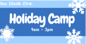 Legacy Gymnastics Holiday Camps