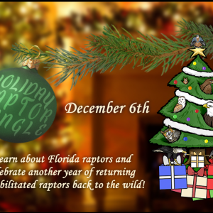 Avian Reconditioning Center Holiday Raptor Mingle