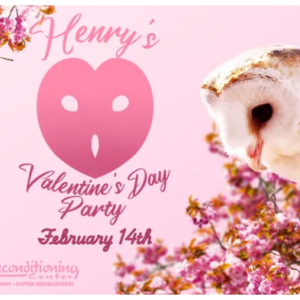 Avian Reconditioning Center Sir Henry's Valentine Party
