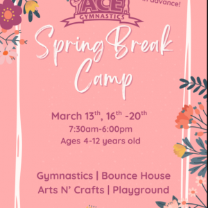 ACE Gymnastics Spring Break Camp