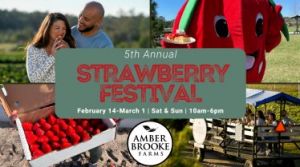 Amber Brooke Farms' Strawberry Festival