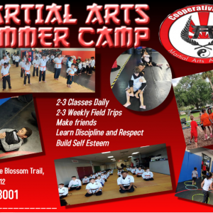 Cooperative Spirit Martial Arts Summer Camps