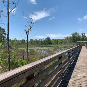 Geneva Wilderness Area