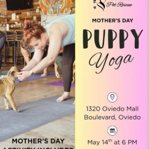 Save a Life Pet Rescue Mother's Day Puppy Yoga