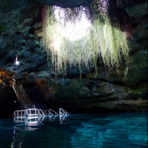 Devil's Den