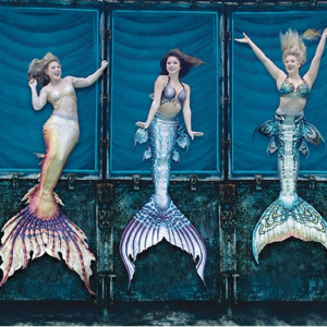 Weeki Wachee Springs and Buccaneer Bay