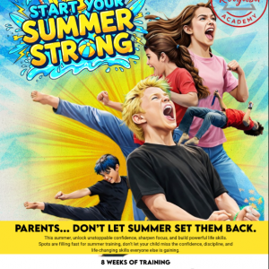 Rodjitsu Martial Arts Academy Summer Program