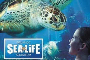 Orlando - Sea Life Aquarium