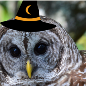 Audubon Center for Birds of Prey Owl Prowl: Witches and Wizards