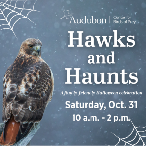 Audubon Center for Birds of Prey Hawks and Haunts Trick or Treating event