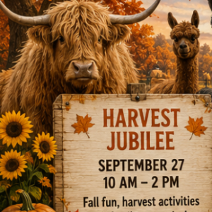 Lil Bit of Life Lil' Bit of Fall Harvest Julbilee
