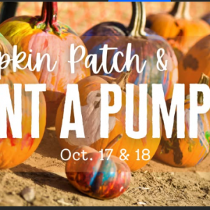 Lukas Nursery Pumpkin Patch and Pumpkin Painting