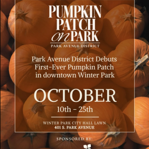 Park Avenue District's Pumpkin Patch on the Park