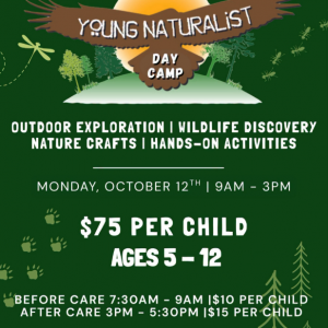 Young Naturalist Day Camps