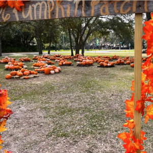 Markham Woods Presbyterian Church Pumpkin Patch