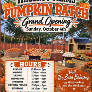 Hagerty Farms Pumpkin Patch