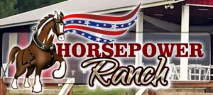HorsePower Ranch Pony Parties