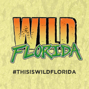 Kissimmee - Wild Florida Airboats and Gator Park