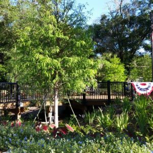 Veterans Memorial Park in Casselberry