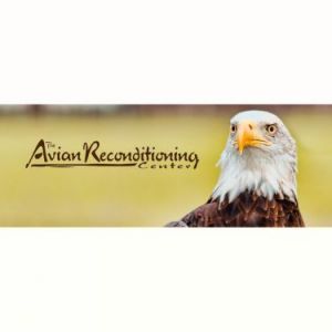 Avian Reconditioning Center