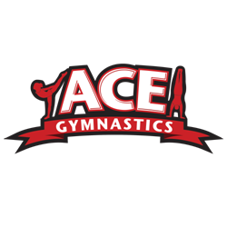 ACE Gymnastics Camp
