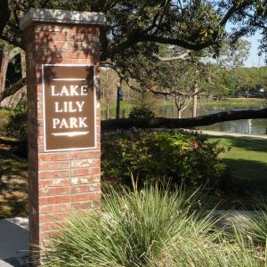 Lake Lily Park