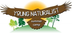 Mead Garden's Young Naturalist Summer Camp