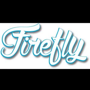 Firefly Creative Event Solutions