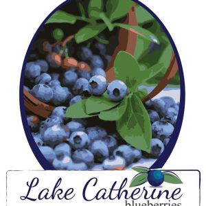 Lake Catherine Blueberries Santa's Enchanted Forest, Nightmare Maze