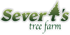 Severt's Tree Farm