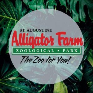 St. Augustine - Alligator Farm Zoological Park