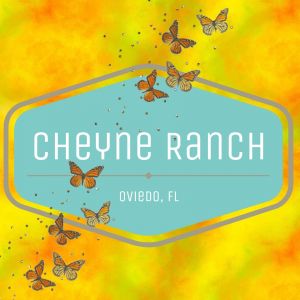 Cheyne Ranch Winter Break Camp
