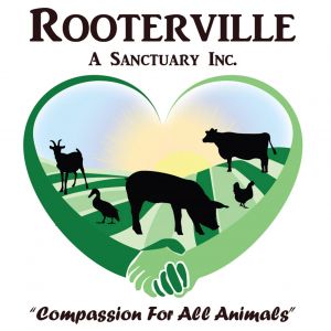 Melrose - Rooterville Animal Sanctuary