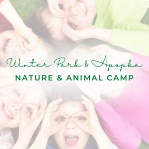 The Nature Camp