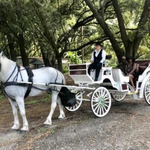 SOUL Haven Ranch Mother's Day Carriage Tours