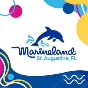 St. Augustine - Marineland Dolphin Adventure
