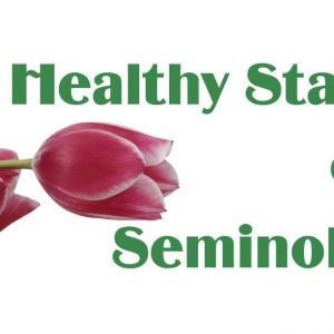 Healthy Start Coalition of Seminole County Connect