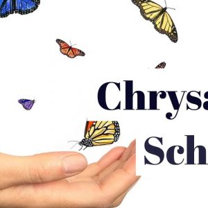 Chrysalis School