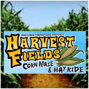 Harvest Fields Corn Maze