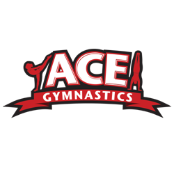 ACE Gymnastics Thanksgiving Camp